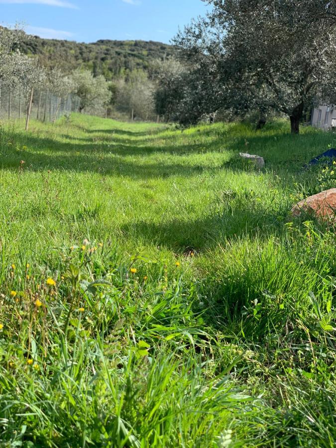 Il Giardino Degli Ulivi Hotell Rovinj Exteriör bild