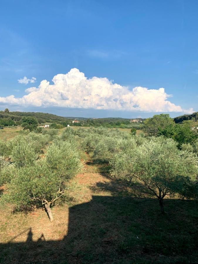 Il Giardino Degli Ulivi Hotell Rovinj Exteriör bild